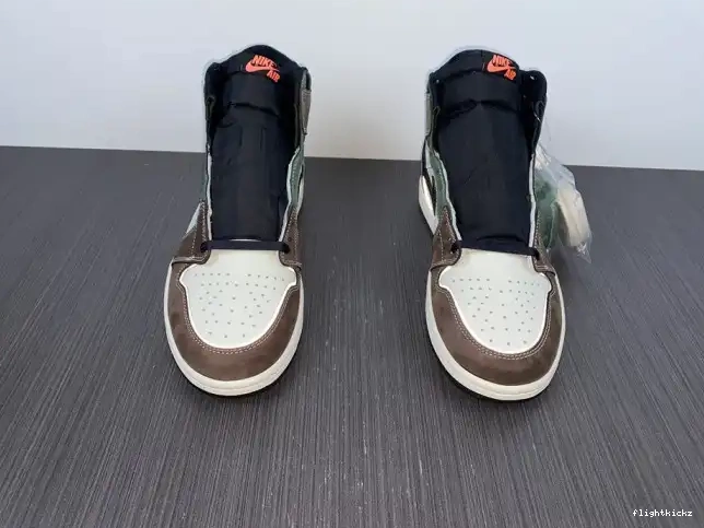 OG 1 Hand Jordan DH3097-001 High Crafted Air 0527